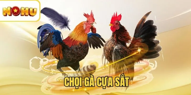 Hình thức chọi cựa sắt